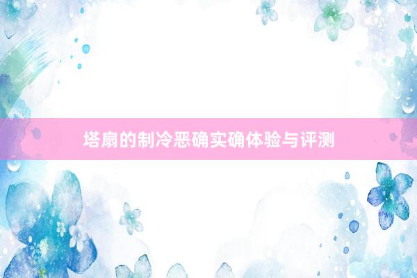 塔扇的制冷恶确实确体验与评测